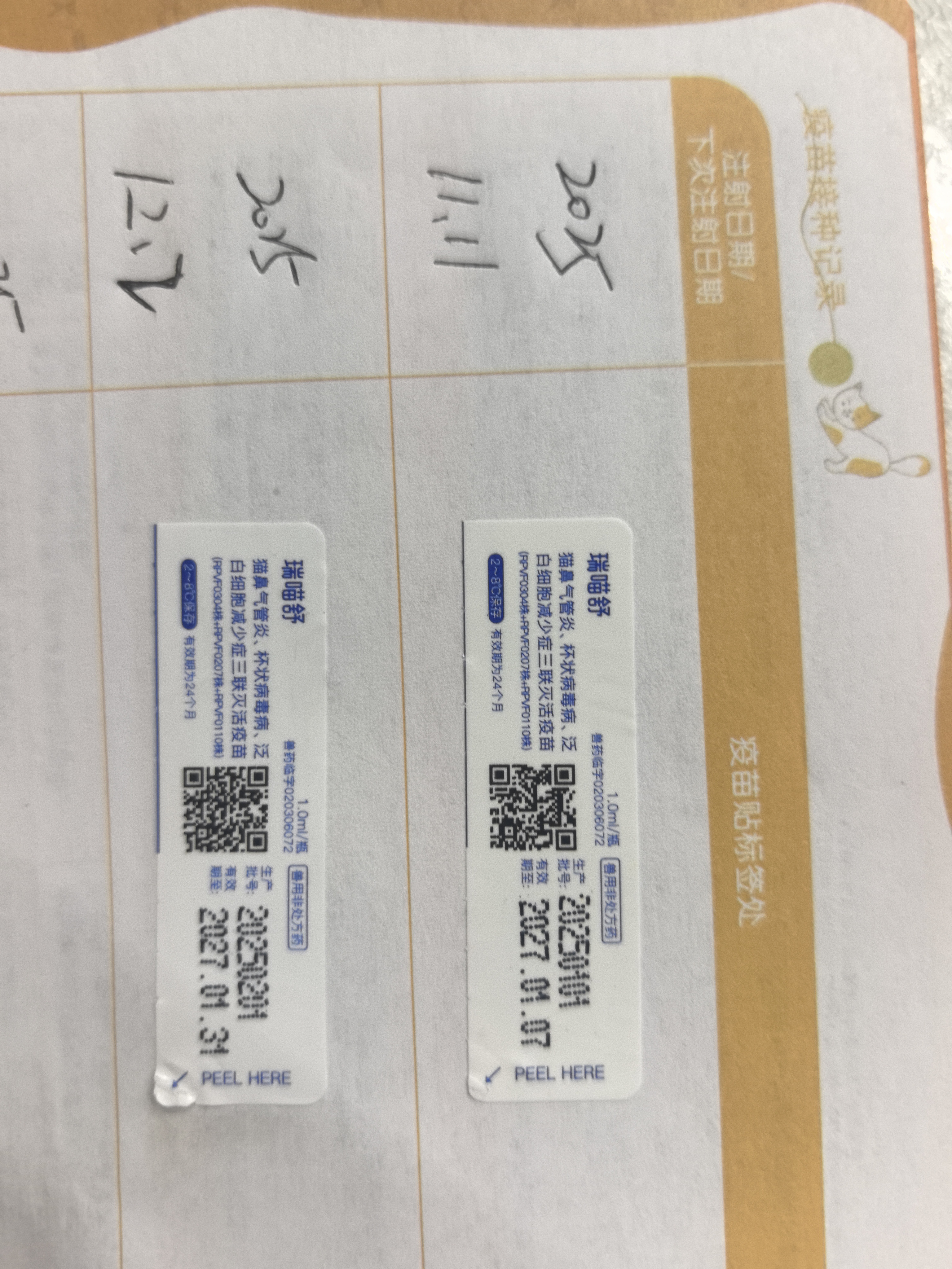 纯种蓝金小猫，有防疫证，驱虫已做，已经打完两针，性格好，大眼睛，健康无癣